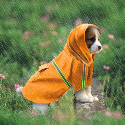 Dog Raincoat