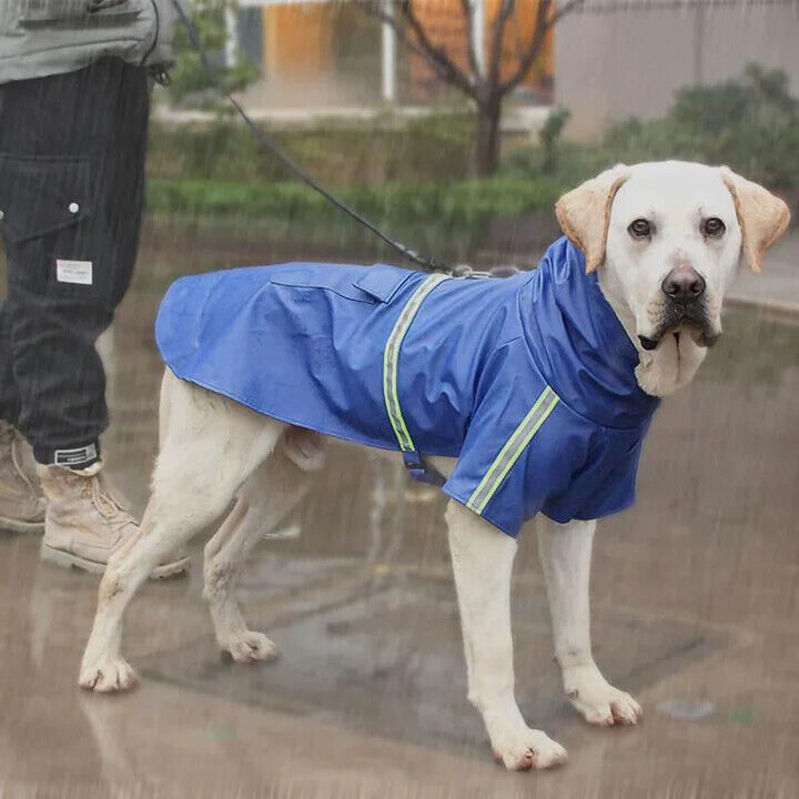 Dog Raincoat