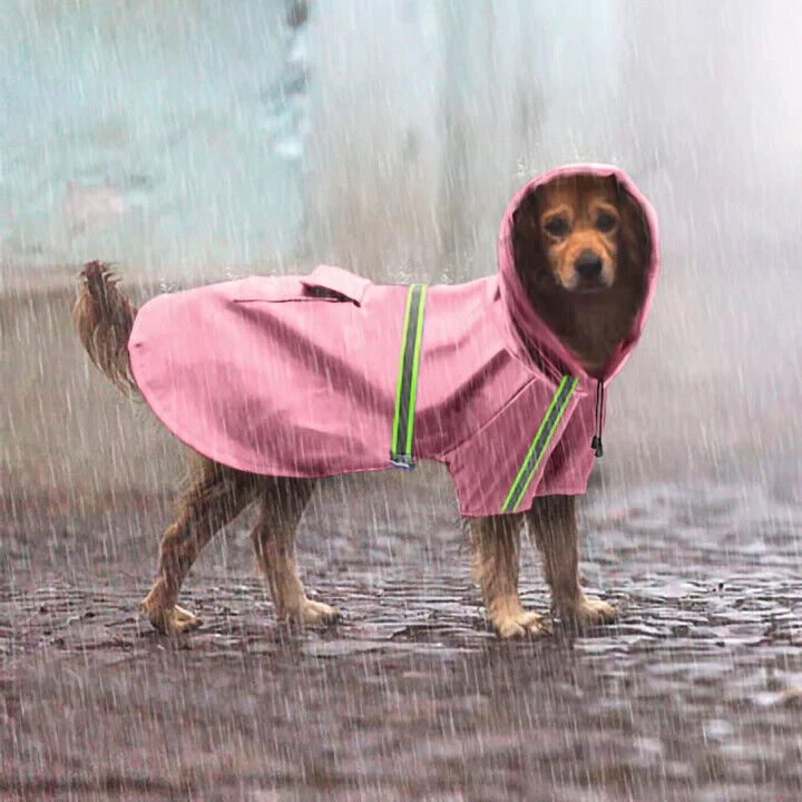 Dog Raincoat