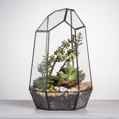 Geometric Glass Terrarium Planter for Succulent