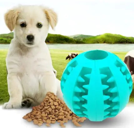 Interactive Dog Treat Ball