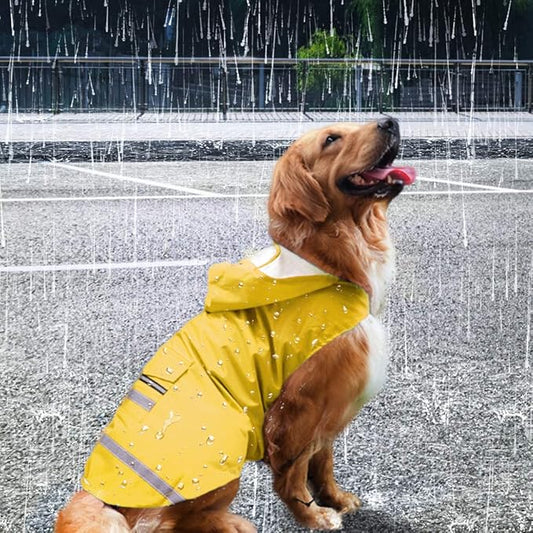 Dog Raincoat