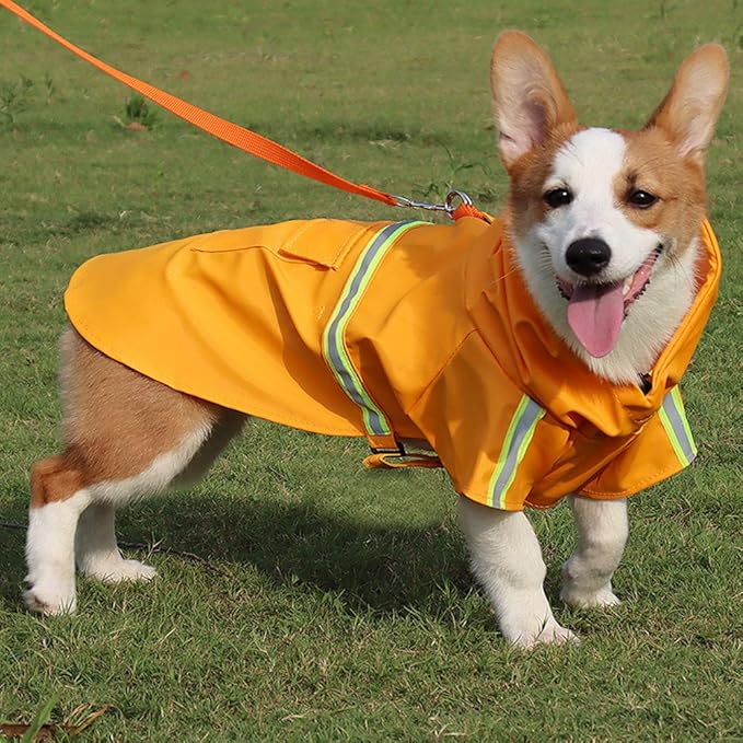 Dog Raincoat