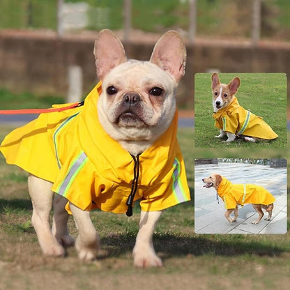 Dog Raincoat