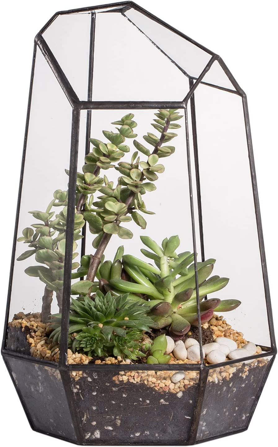 Geometric Glass Terrarium Planter for Succulent