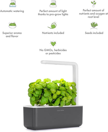 Indoor Herb Garden Kit with Grow Light