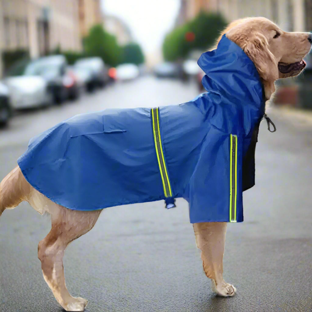 Dog Raincoat