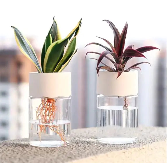 Small Plant Hydroponic Desktop