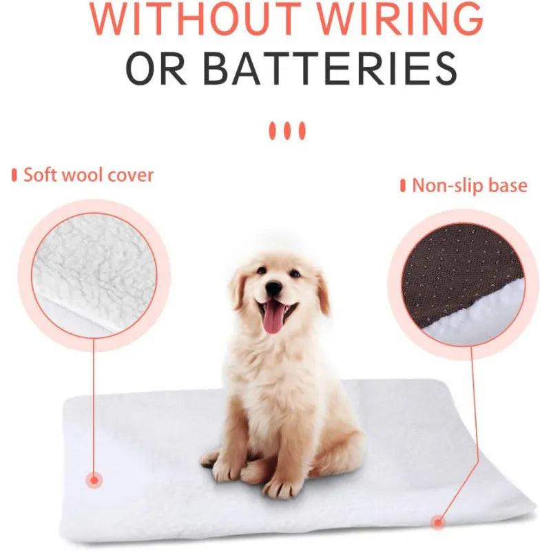 Self-Heating Pet Cushion