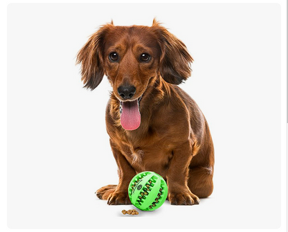 Interactive Dog Treat Ball