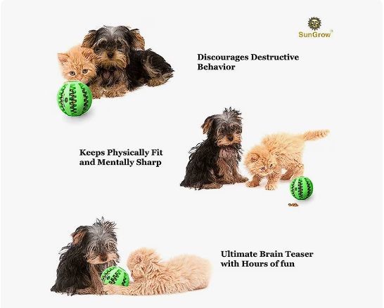 Interactive Dog Treat Ball