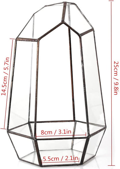 Geometric Glass Terrarium Planter for Succulent