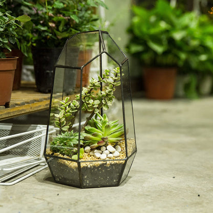 Geometric Glass Terrarium Planter for Succulent