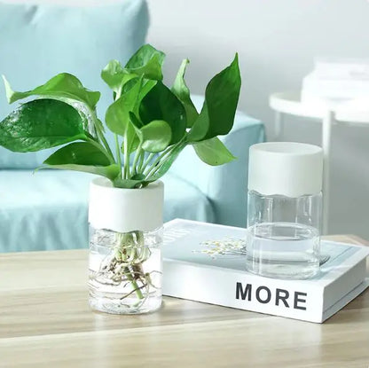 Small Plant Hydroponic Desktop