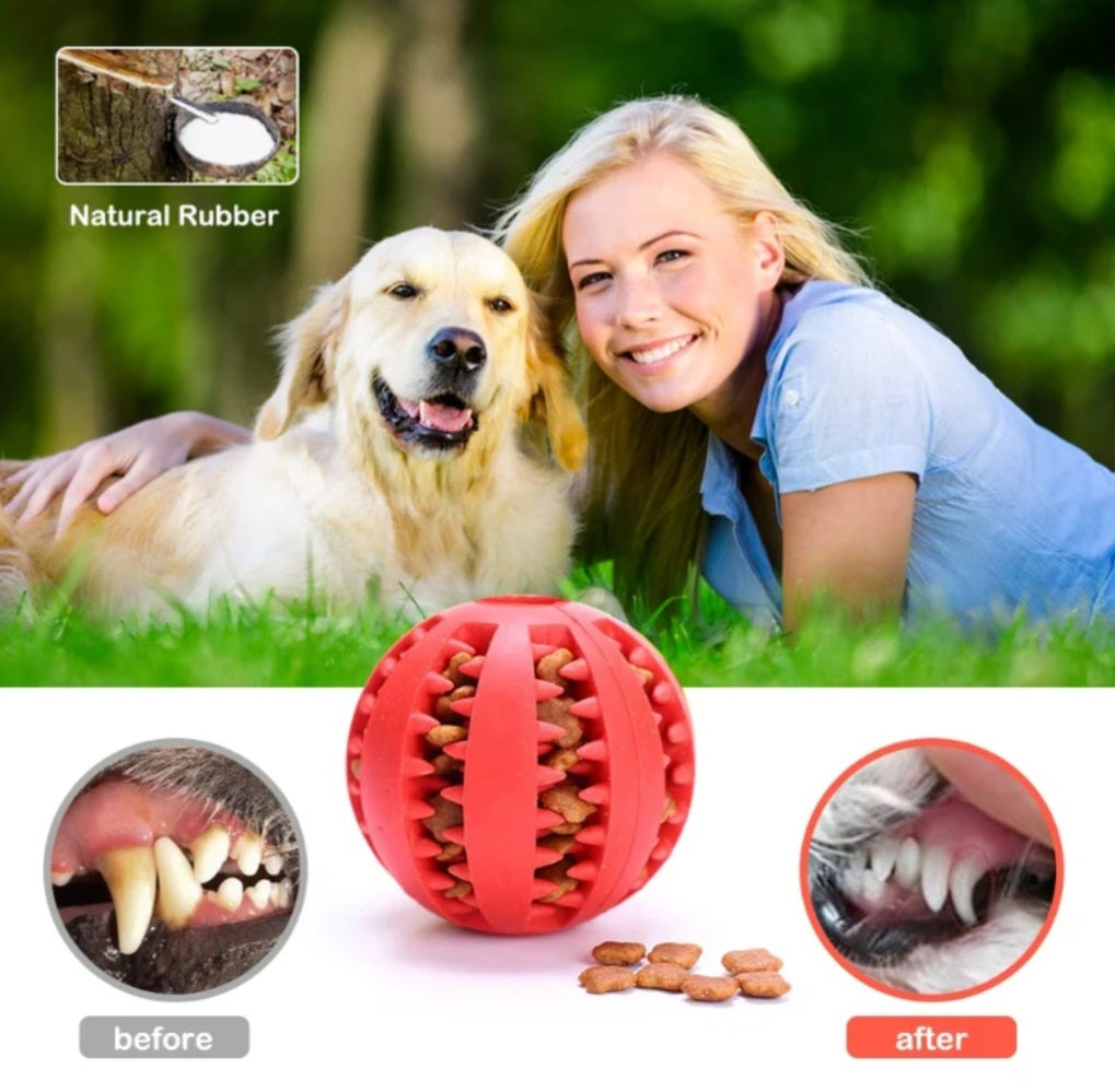 Interactive Dog Treat Ball