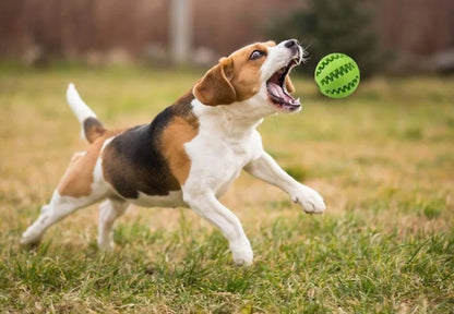 Interactive Dog Treat Ball