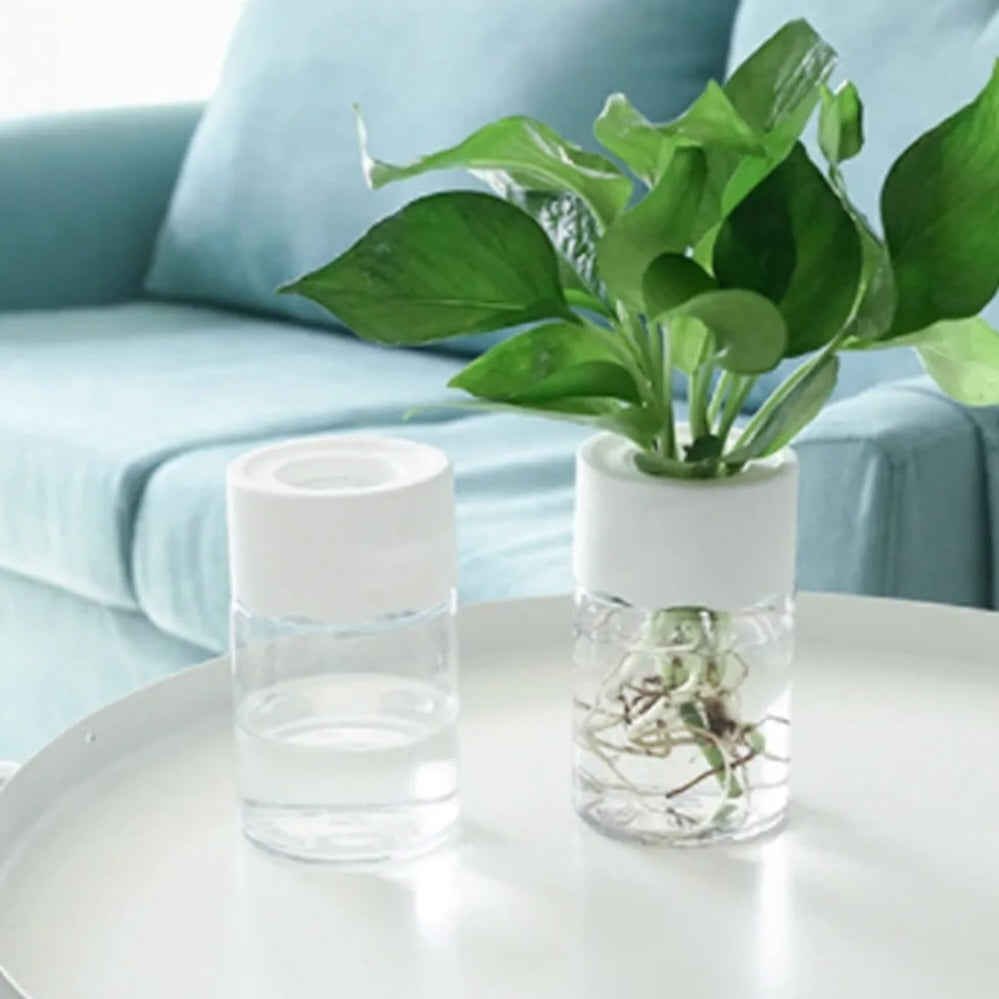 Small Plant Hydroponic Desktop