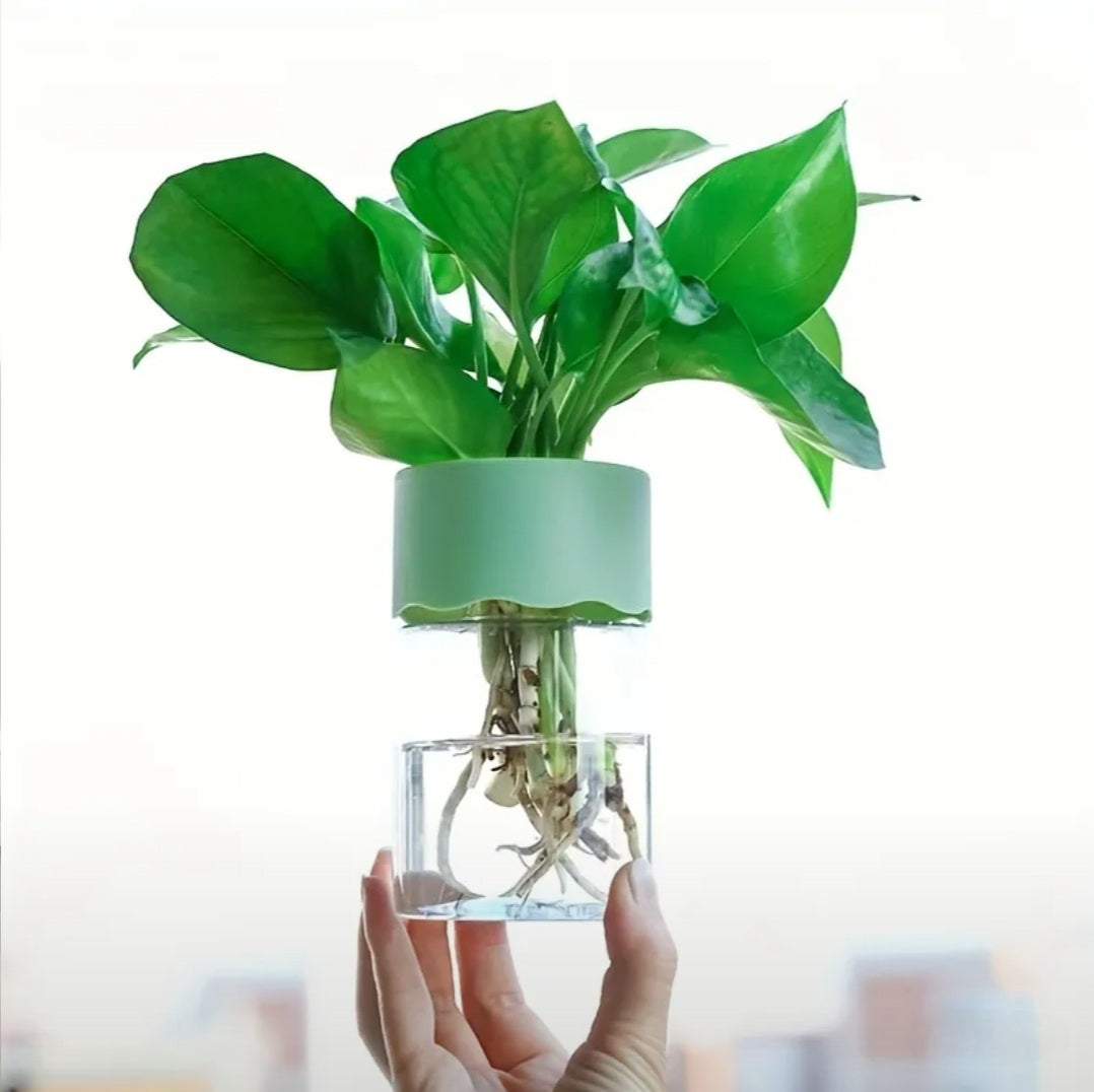 Small Plant Hydroponic Desktop