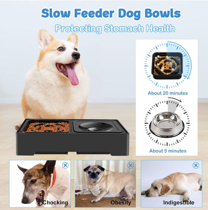 Adjustable Dog Feeding Bowls