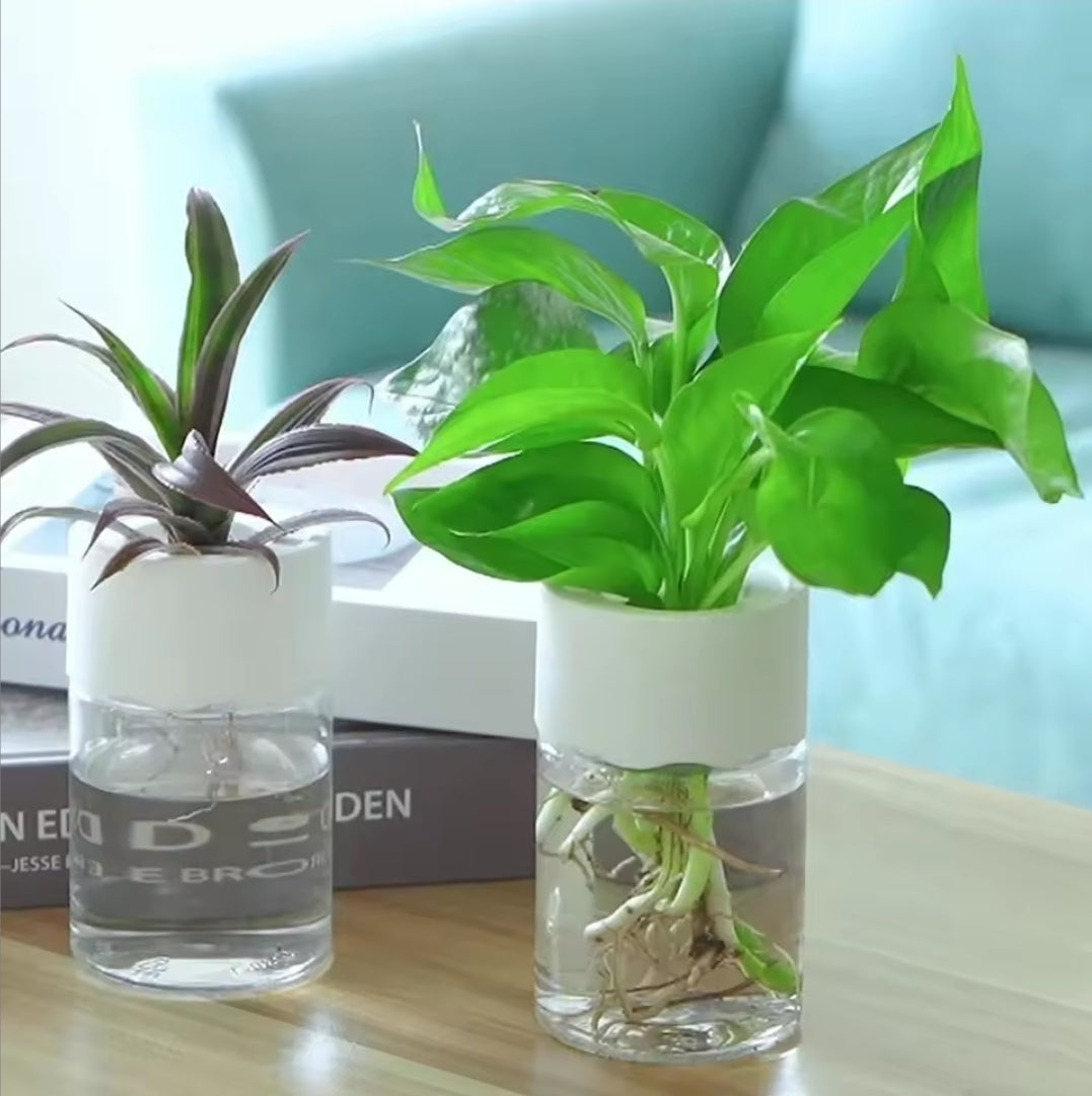 Small Plant Hydroponic Desktop