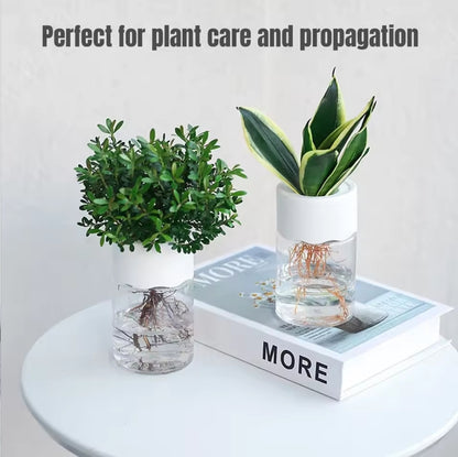 Small Plant Hydroponic Desktop