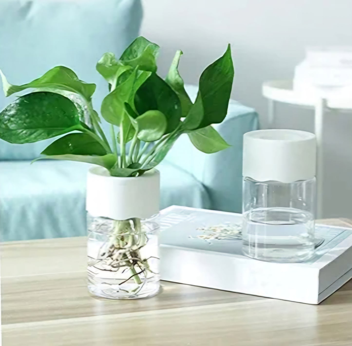 Small Plant Hydroponic Desktop