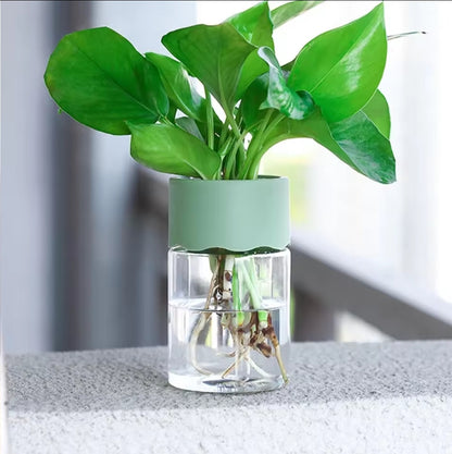 Small Plant Hydroponic Desktop